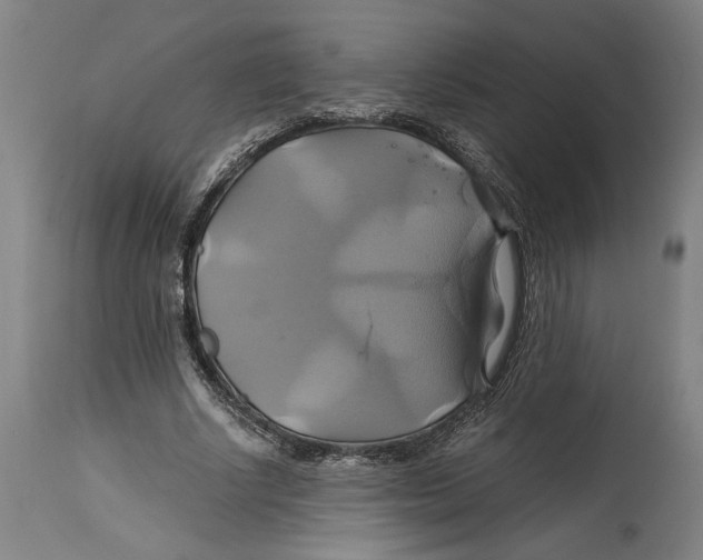 X0000114700634200911181317