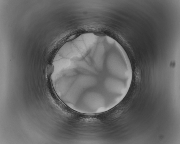 X0000114700637200911181317