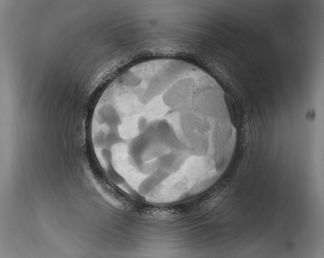 X0000114700638200911181317