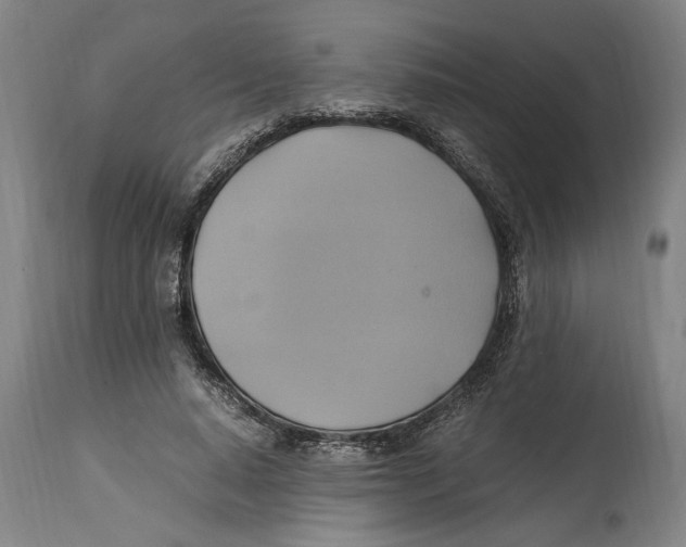 X0000114700640200911181318