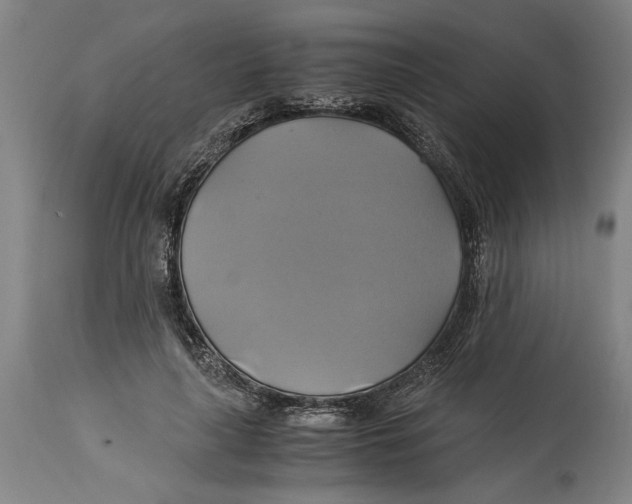 X0000114700643200911181318