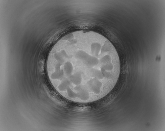 X0000114700646200911181318