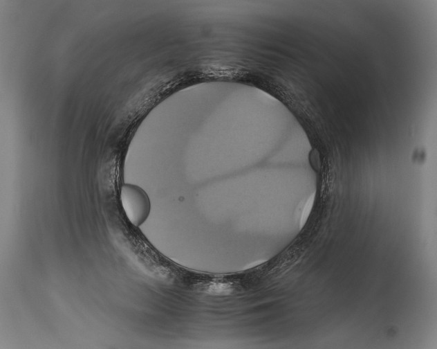 X0000114700647200911181318