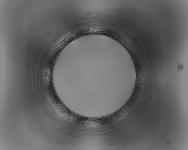 X0000114700648200911181318