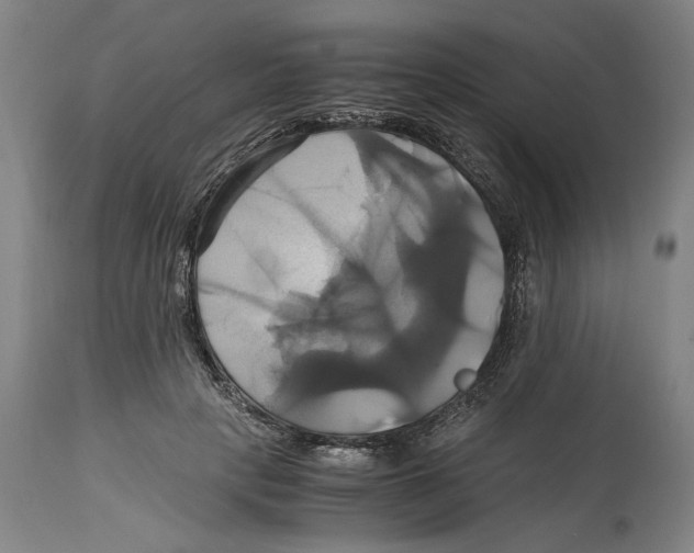 X0000114700649200911181318