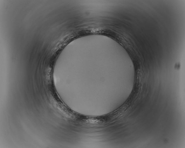 X0000114700650200911181318