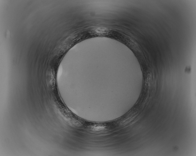 X0000114700651200911181318