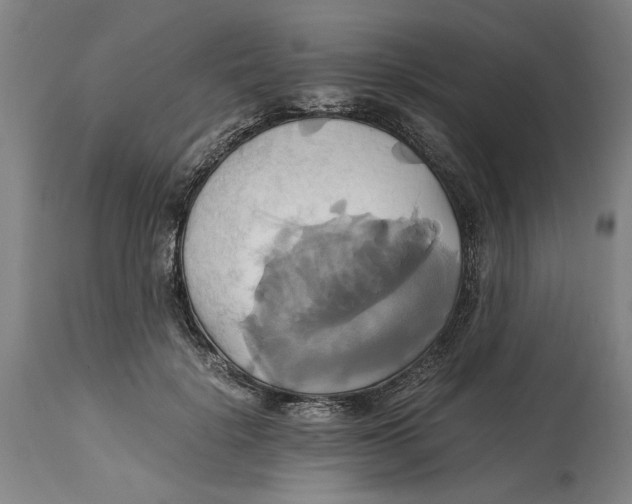 X0000114700652200911181318