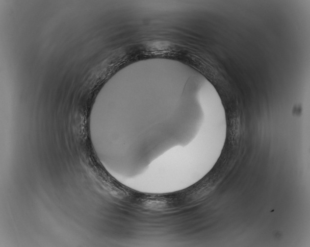 X0000114700653200911181318