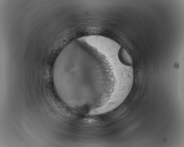 X0000114700655200911181318