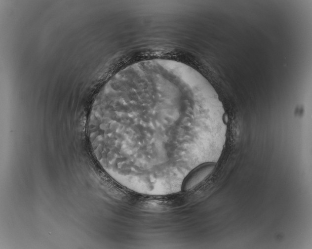 X0000114700657200911181318