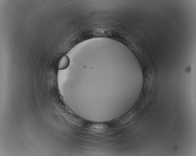 X0000114700659200911181318