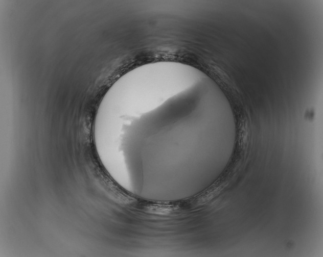 X0000114700661200911181318