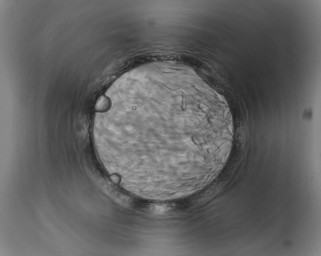 X0000114700662200911181318