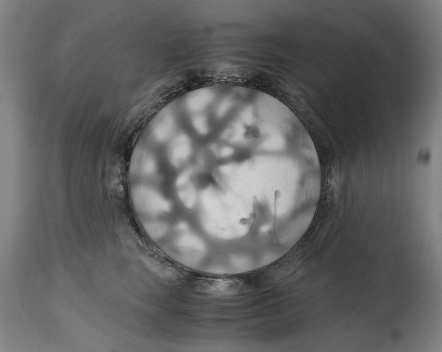 X0000114700663200911181318