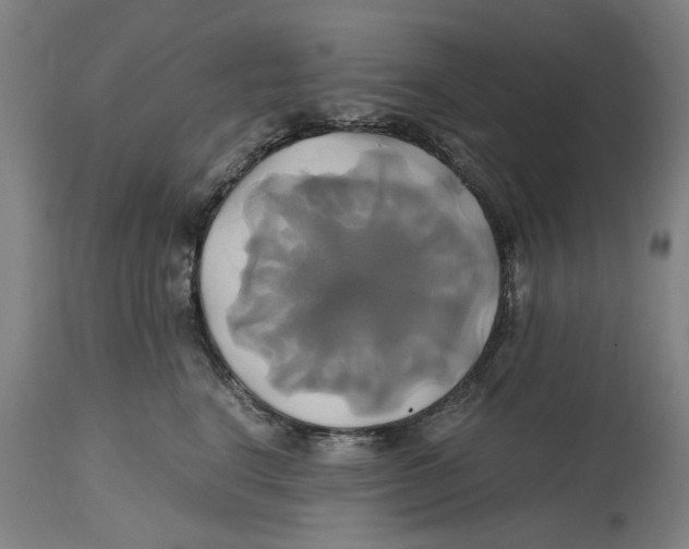 X0000114700664200911181318