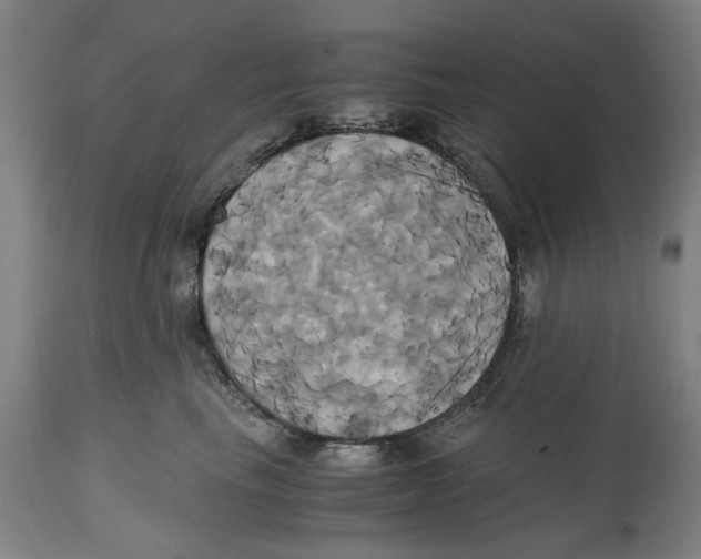 X0000114700665200911181318