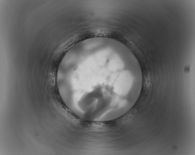 X0000114700666200911181318