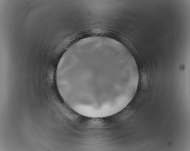 X0000114700668200911181318