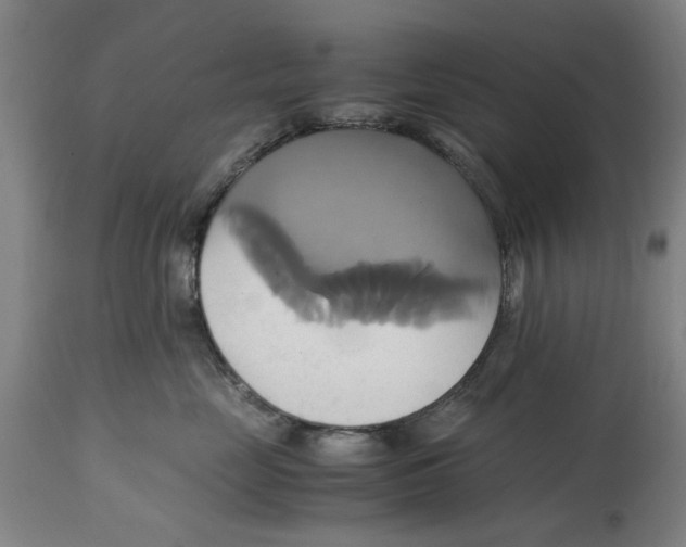 X0000114700669200911181318