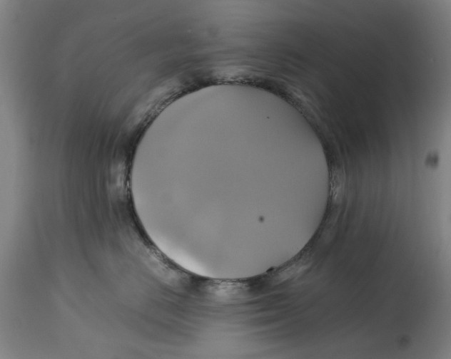 X0000114700670200911181318