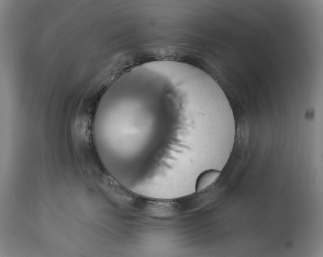 X0000114700671200911181318