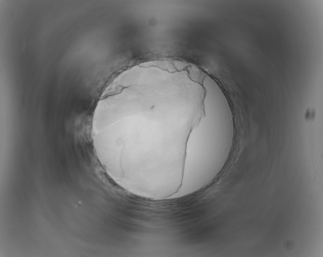 X0000114700672200911181318