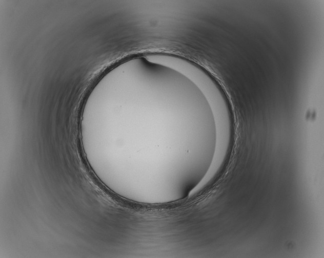 X0000114700673200911181317