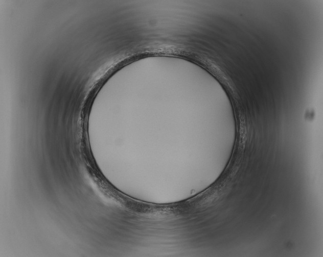 X0000114700674200911181317