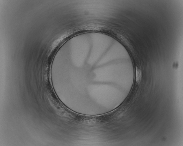 X0000114700675200911181317