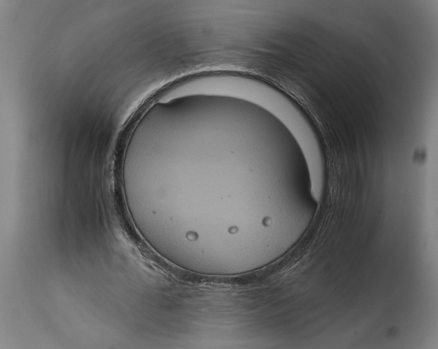 X0000114700676200911181317