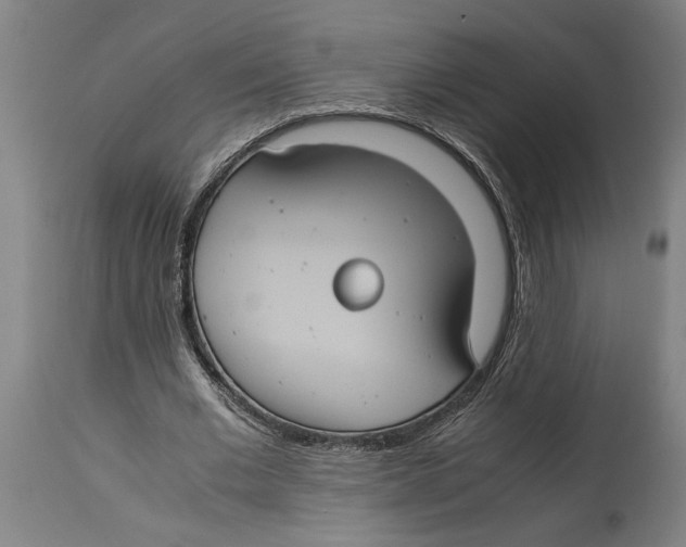 X0000114700677200911181317