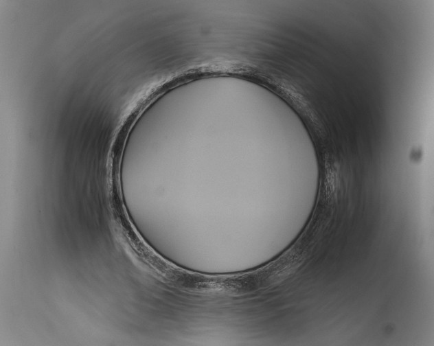 X0000114700678200911181317