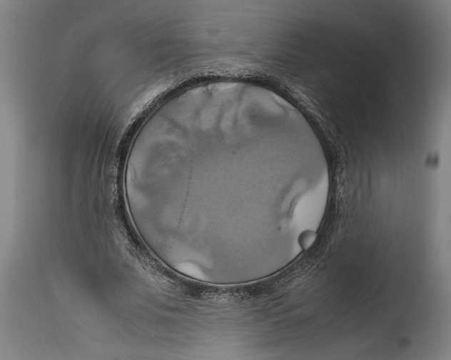 X0000114700679200911181317