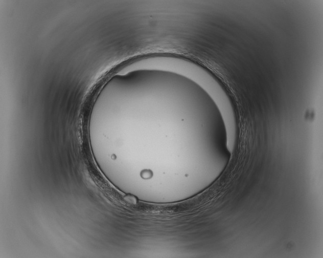 X0000114700680200911181317