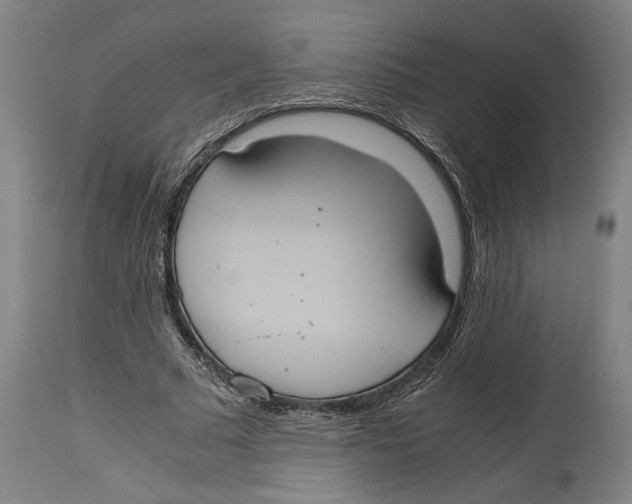 X0000114700681200911181317