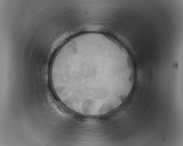 X0000114700682200911181317