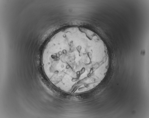 X0000114700683200911181317