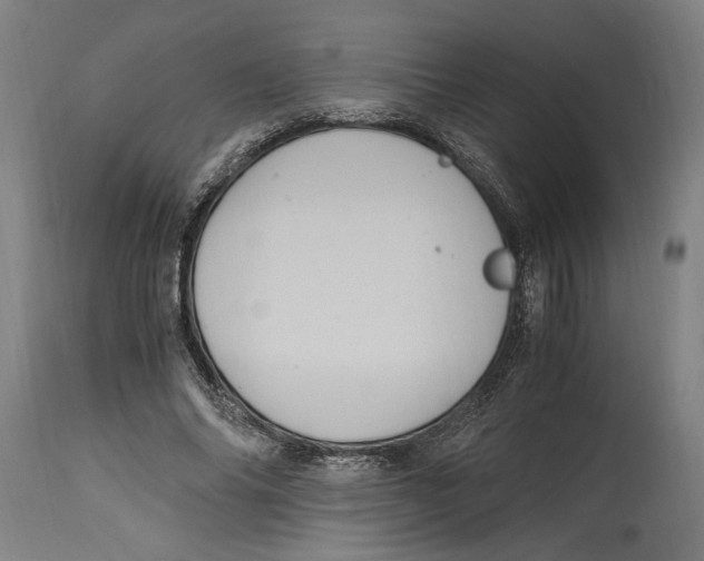 X0000114700686200911181317