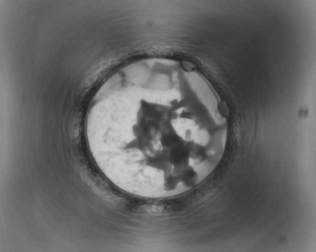 X0000114700687200911181317