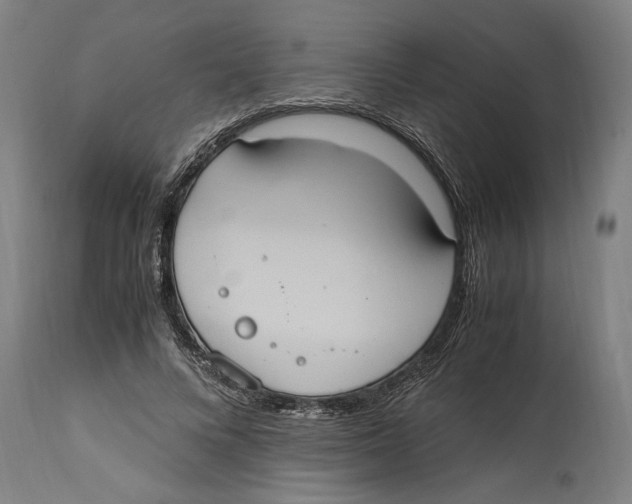 X0000114700688200911181317