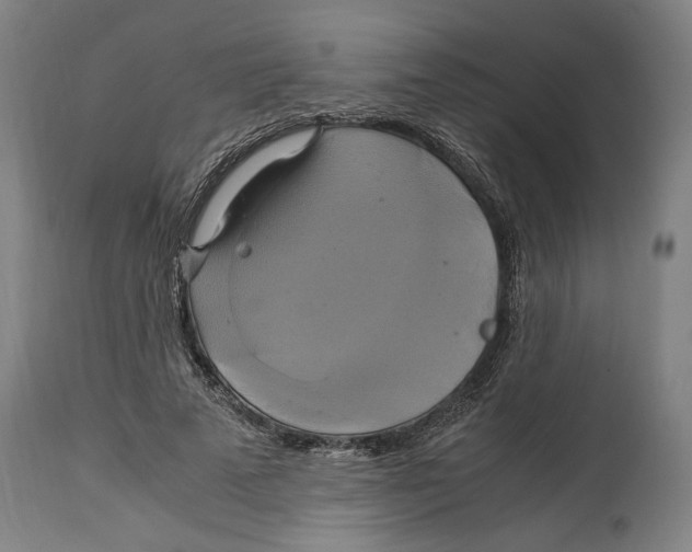 X0000114700689200911181317