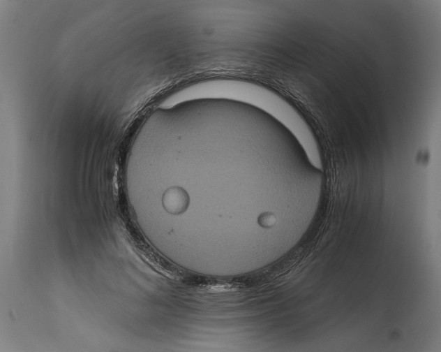 X0000114700692200911181317