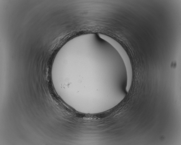 X0000114700693200911181317