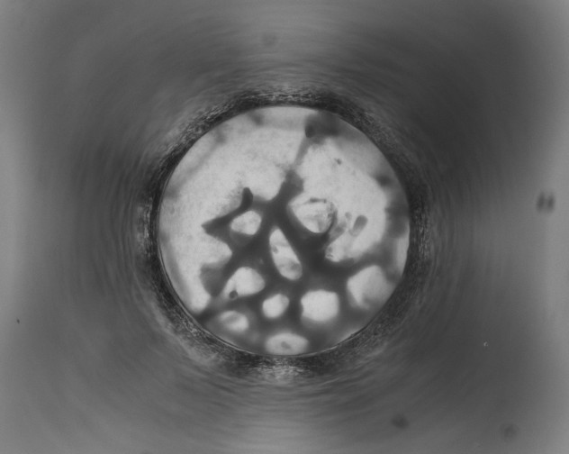 X0000114700695200911181317