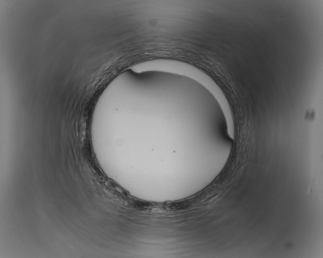 X0000114700697200911181317