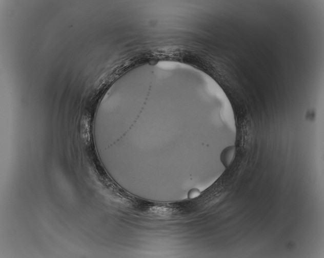 X0000114700699200911181317