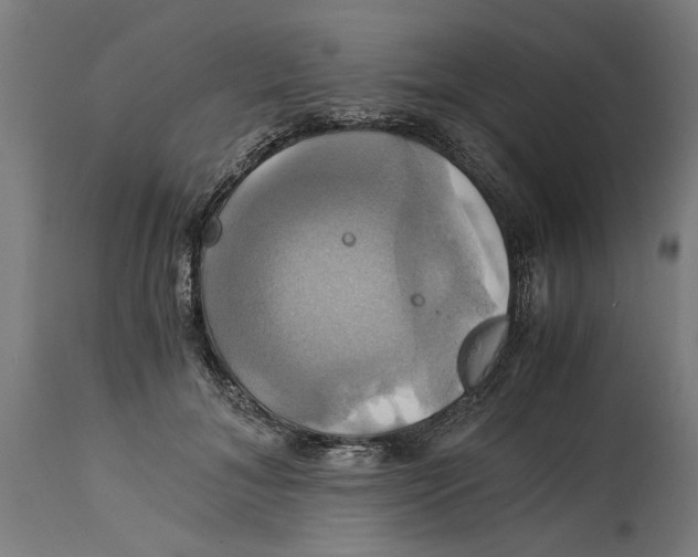 X0000114700700200911181317