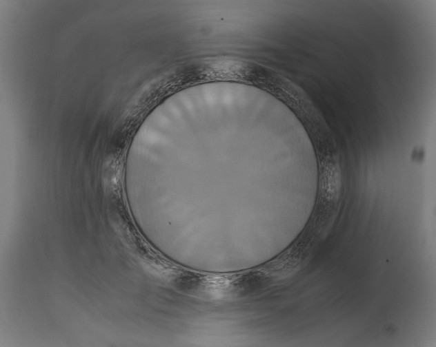 X0000114700701200911181317