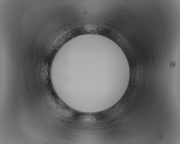 X0000114700702200911181317